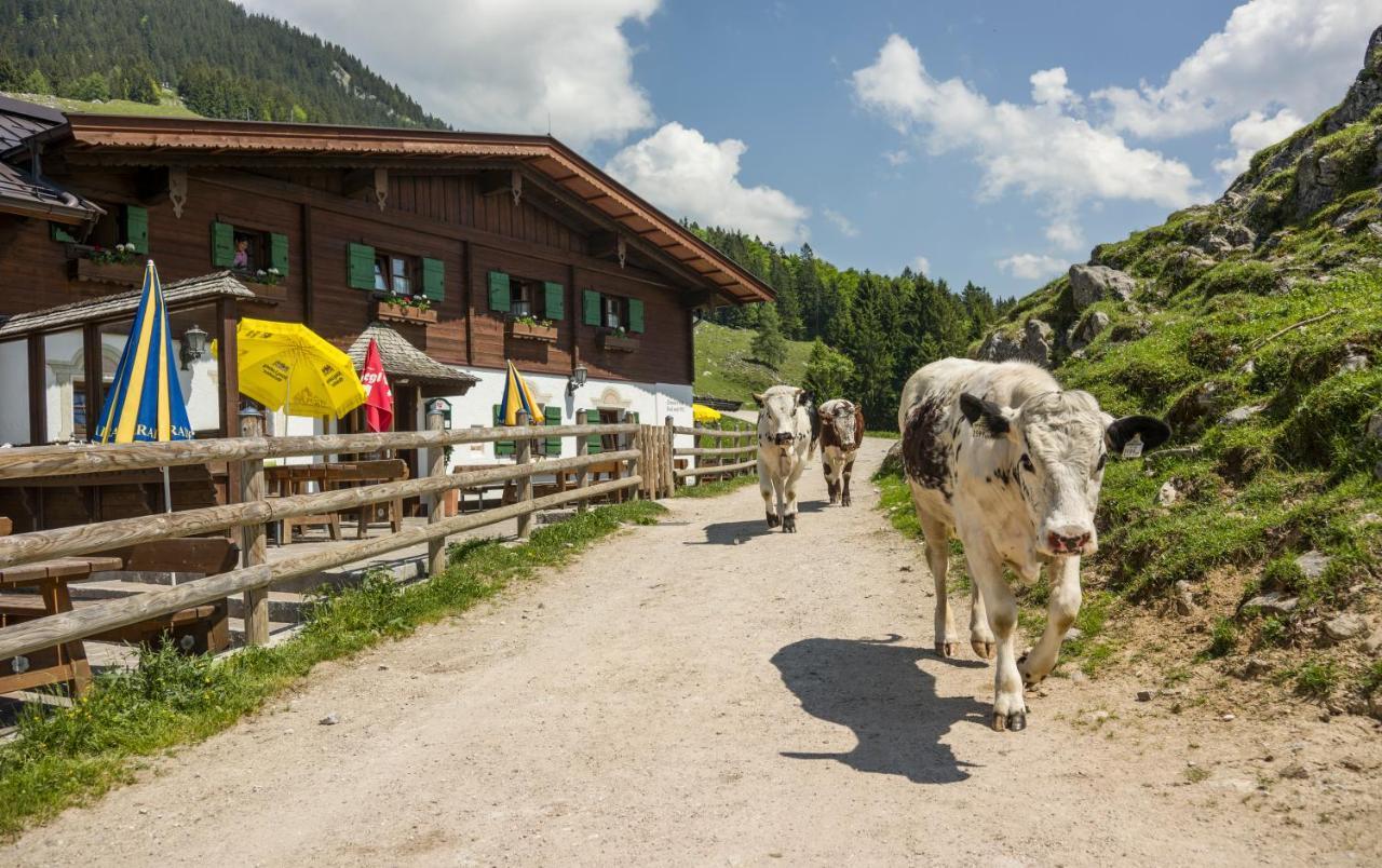 Ritzau Alm Ebbs Exterior foto